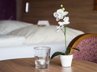 Seehotel Schwanenhof-Hamburg/Lübeck-Zimmer-neu03