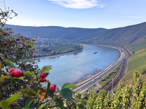Luftaufnahme von Boppard und dem Rhein