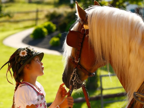 Kind mit Haflinger bei Sonnenschein vor dem Landhotel Haflingerhof