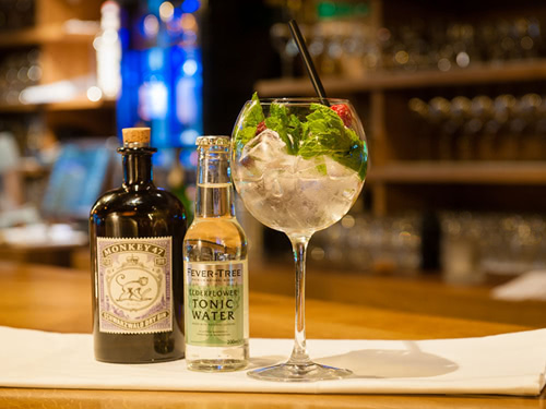 Gin und Tonic Water