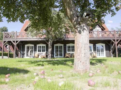 Garten bei Sonnenschein
